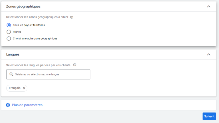 capture d'écran du choix des zones géographiques et langues pour google performance max